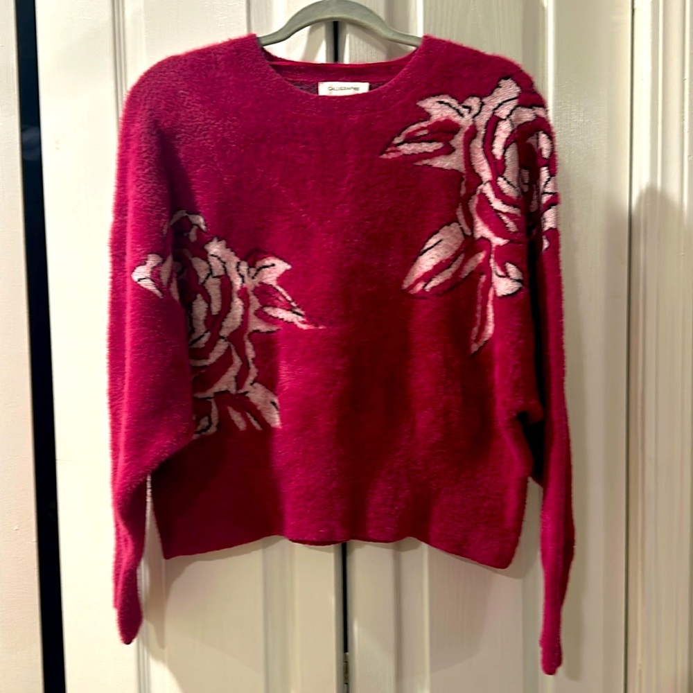 🌹Anthropologie Calligraphie sweater